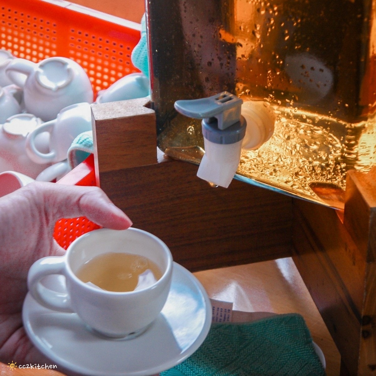 【2026台東太麻里金針山一日遊】金針山賞花秘境、森呼吸金針瑜珈、金針園採筍趣、水果茶凍DIY、大啖金針私房創意料理 ！