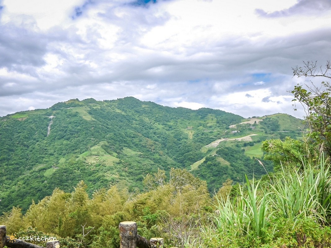 【2026台東太麻里金針山一日遊】金針山賞花秘境、森呼吸金針瑜珈、金針園採筍趣、水果茶凍DIY、大啖金針私房創意料理 ！