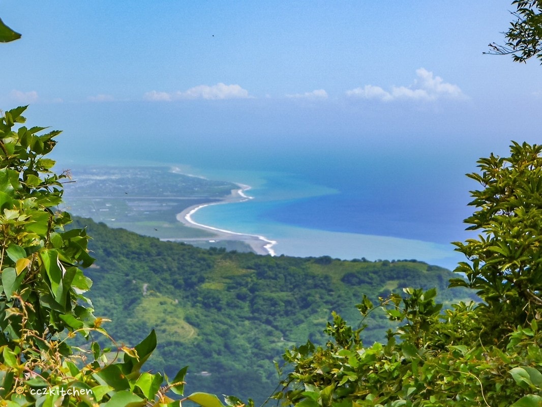 【2026台東太麻里金針山一日遊】金針山賞花秘境、森呼吸金針瑜珈、金針園採筍趣、水果茶凍DIY、大啖金針私房創意料理 ！