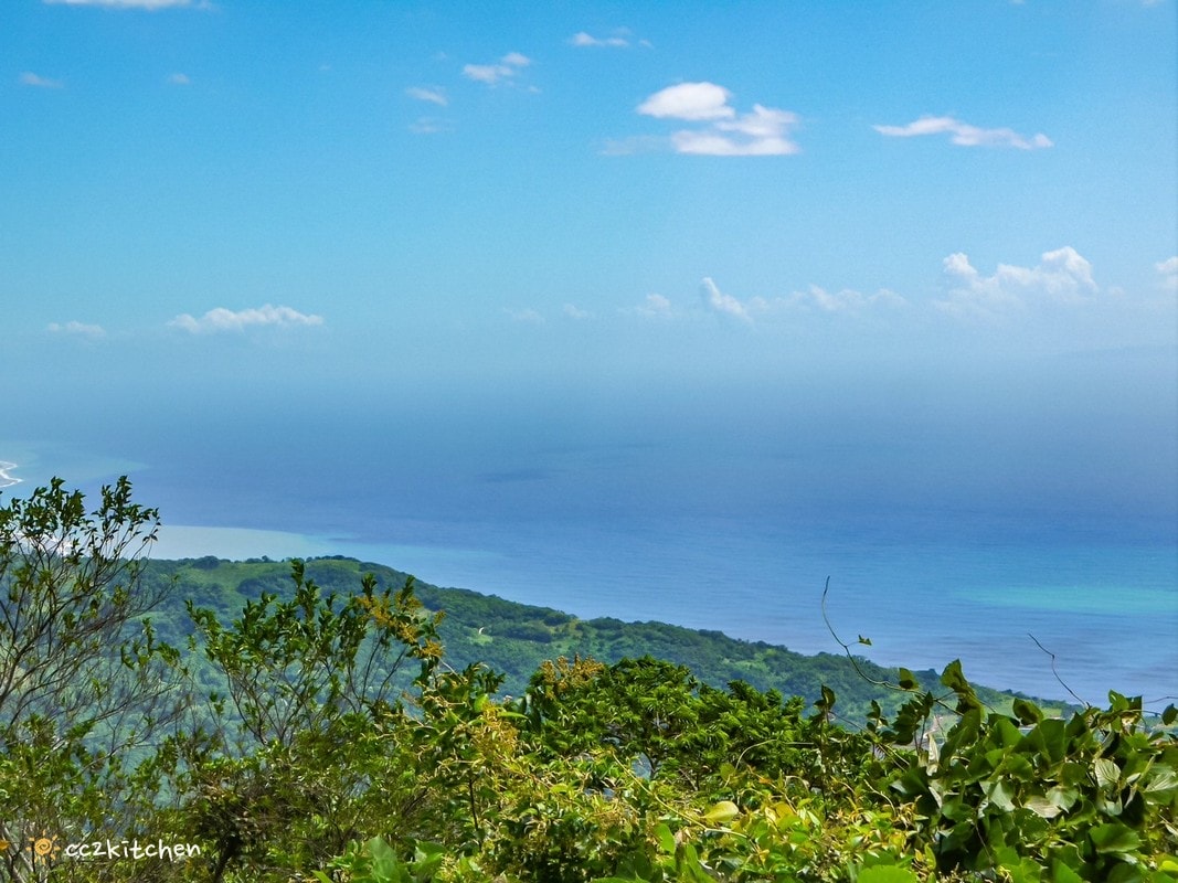 【2026台東太麻里金針山一日遊】金針山賞花秘境、森呼吸金針瑜珈、金針園採筍趣、水果茶凍DIY、大啖金針私房創意料理 ！