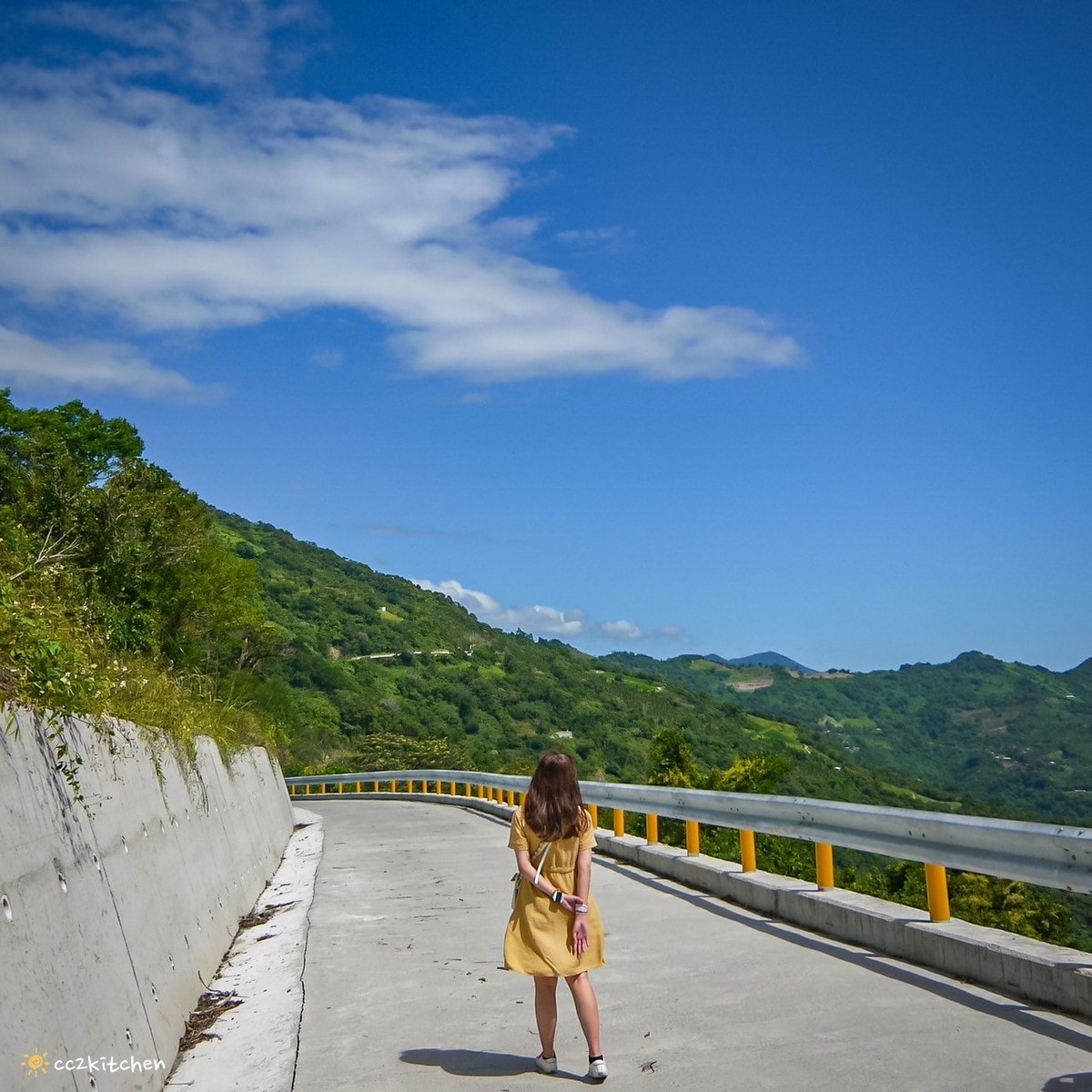 【2026台東太麻里金針山一日遊】金針山賞花秘境、森呼吸金針瑜珈、金針園採筍趣、水果茶凍DIY、大啖金針私房創意料理 ！