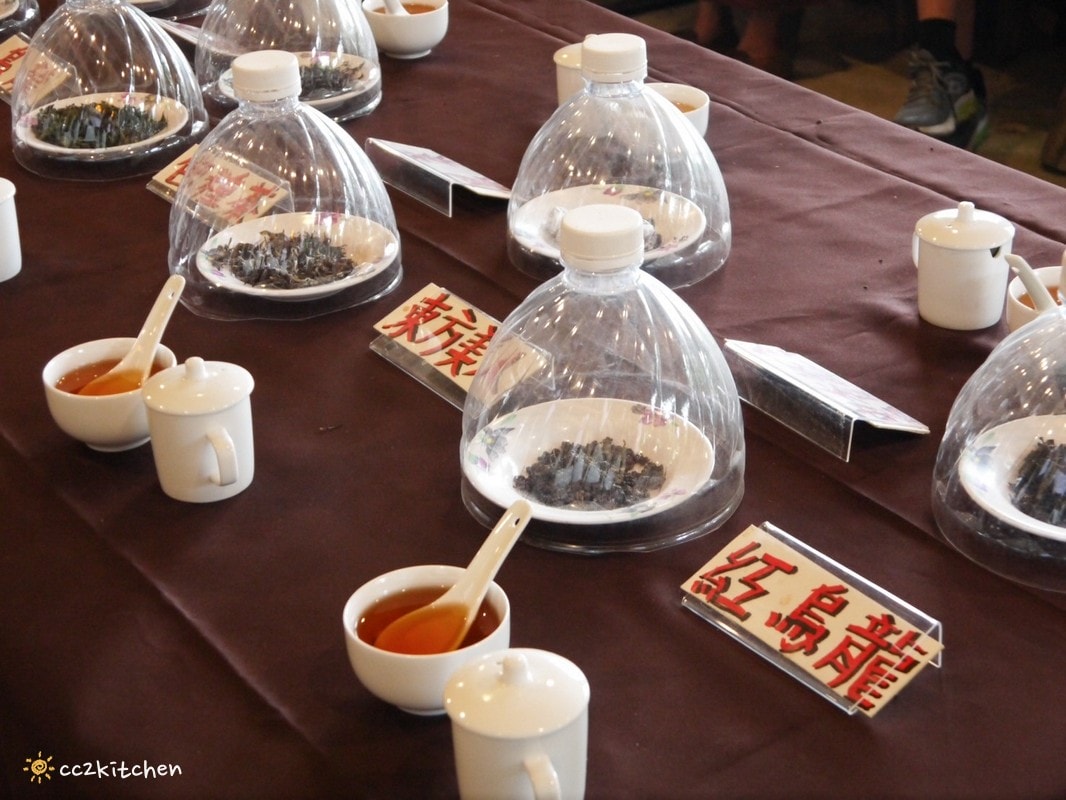 【2026台東太麻里金針山一日遊】金針山賞花秘境、森呼吸金針瑜珈、金針園採筍趣、水果茶凍DIY、大啖金針私房創意料理 ！