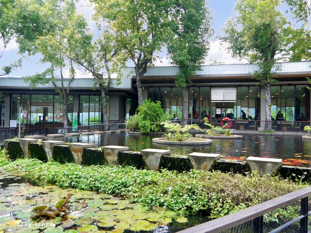 【2025台東初鹿一日遊】初鹿美食景點旅遊指南~一日茶農採茶趣、藥草火鍋吃到飽、深山裡的柴燒陶藝、釋迦鑰匙圈DIY ! - 第45張圖