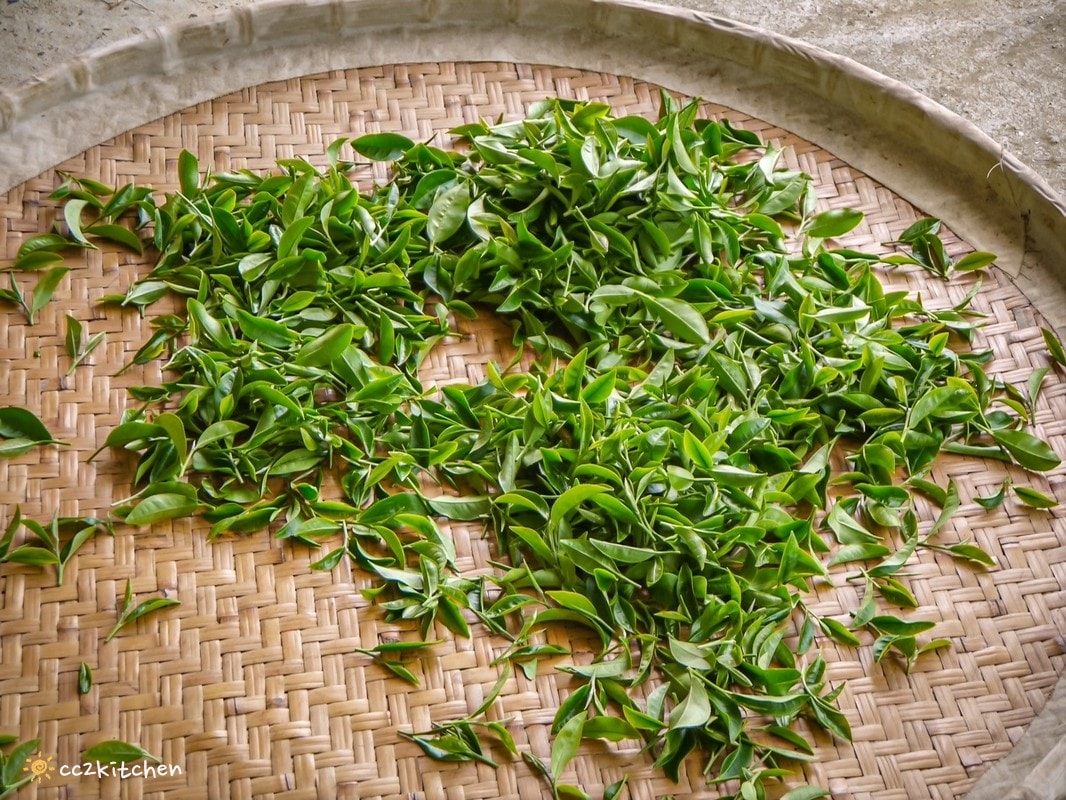 【2025台東初鹿一日遊】初鹿美食景點旅遊指南~一日茶農採茶趣、藥草火鍋吃到飽、深山裡的柴燒陶藝、釋迦鑰匙圈DIY ! - 第21張圖