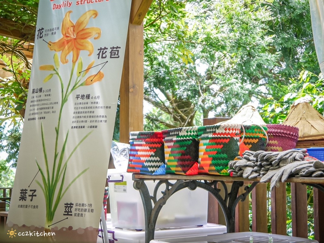【2025台東太麻里金針山一日遊】金針山賞花秘境、森呼吸金針瑜珈、金針園採筍趣、水果茶凍DIY、大啖金針私房創意料理 ! - 第62張圖