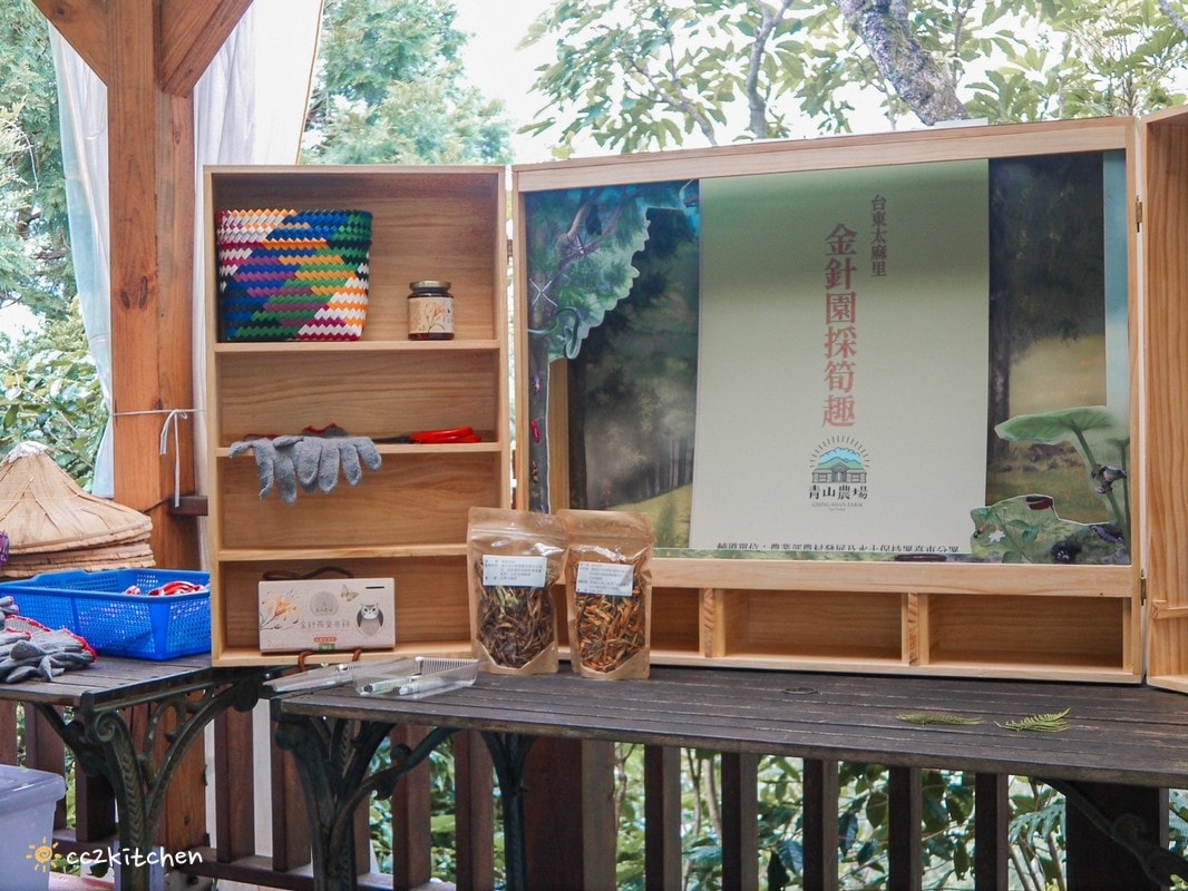【2025台東太麻里金針山一日遊】金針山賞花秘境、森呼吸金針瑜珈、金針園採筍趣、水果茶凍DIY、大啖金針私房創意料理 ! - 第58張圖