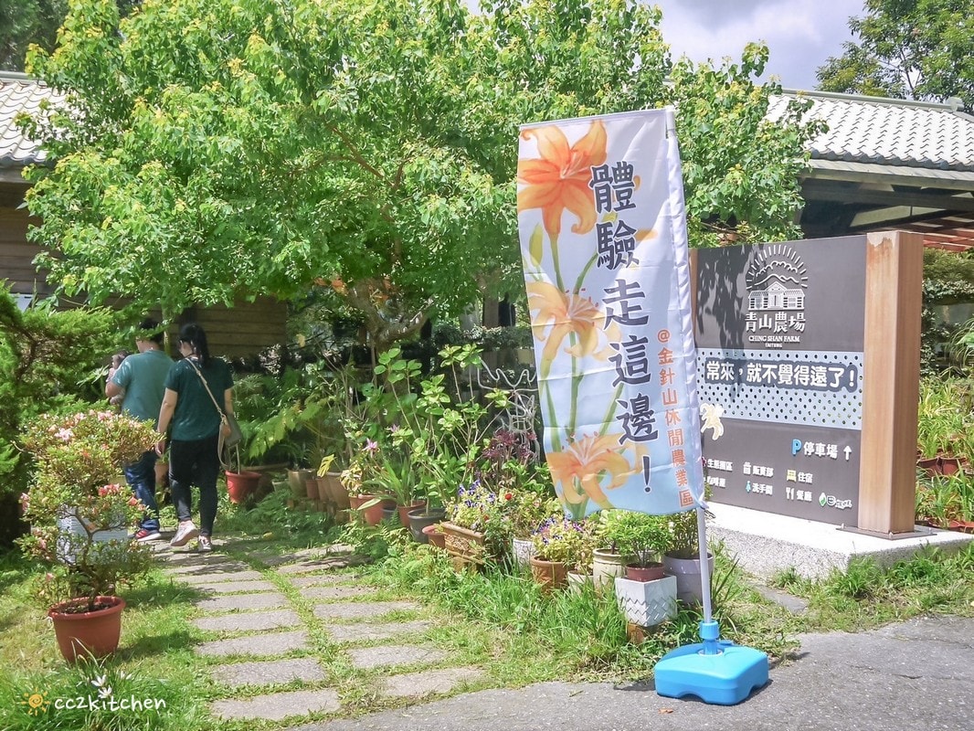 【2025台東太麻里金針山一日遊】金針山賞花秘境、森呼吸金針瑜珈、金針園採筍趣、水果茶凍DIY、大啖金針私房創意料理 ! - 第57張圖