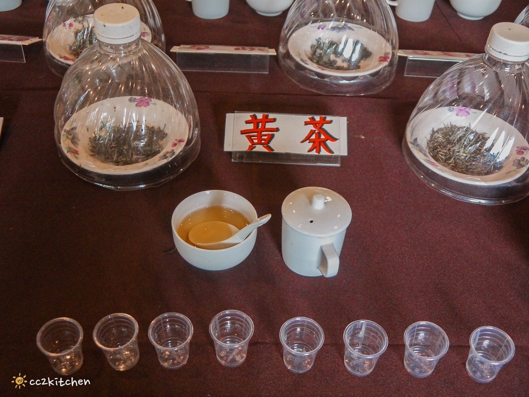 【2025台東太麻里金針山一日遊】金針山賞花秘境、森呼吸金針瑜珈、金針園採筍趣、水果茶凍DIY、大啖金針私房創意料理 ! - 第43張圖