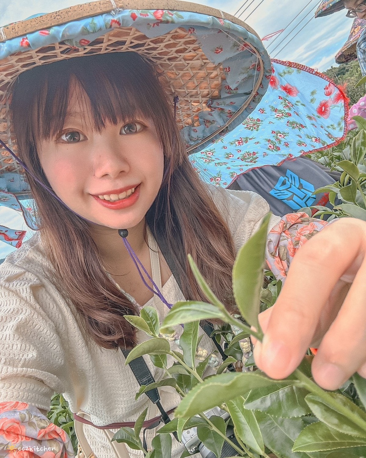 【2025台東初鹿一日遊】初鹿美食景點旅遊指南~一日茶農採茶趣、藥草火鍋吃到飽、深山裡的柴燒陶藝、釋迦鑰匙圈DIY ! - 第16張圖