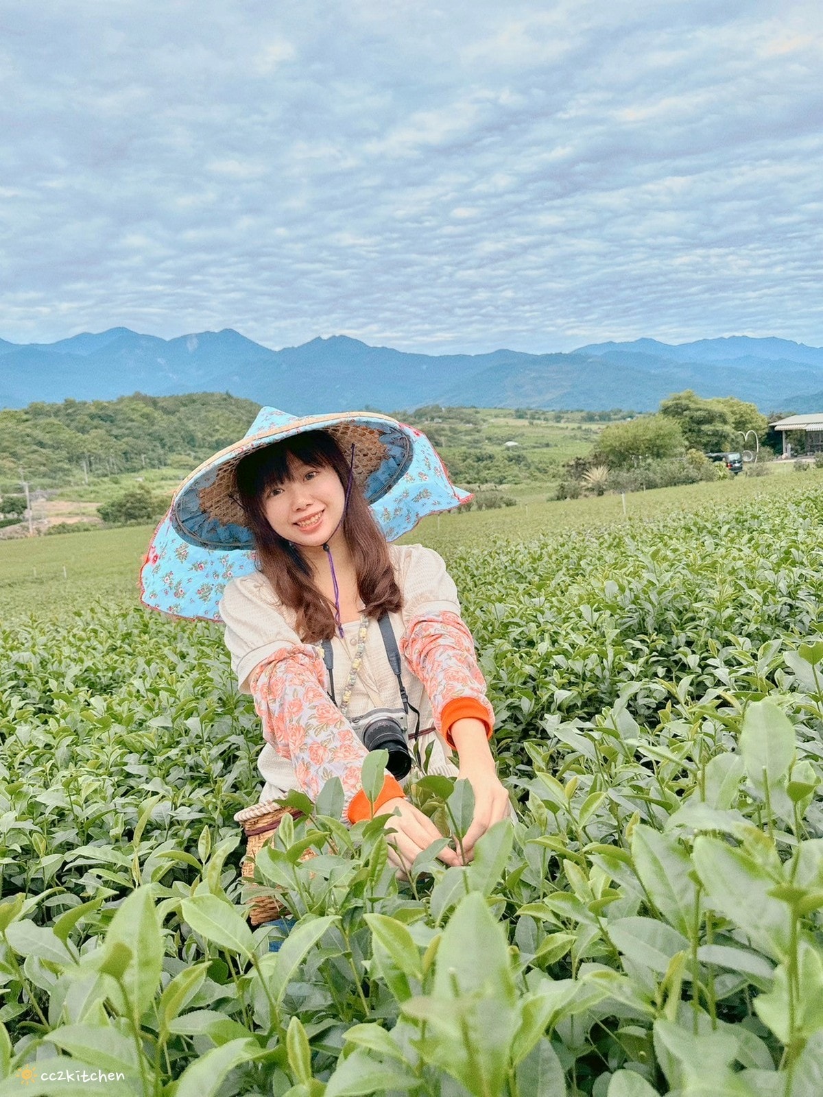 【2025台東初鹿一日遊】初鹿美食景點旅遊指南~一日茶農採茶趣、藥草火鍋吃到飽、深山裡的柴燒陶藝、釋迦鑰匙圈DIY ! - 第8張圖