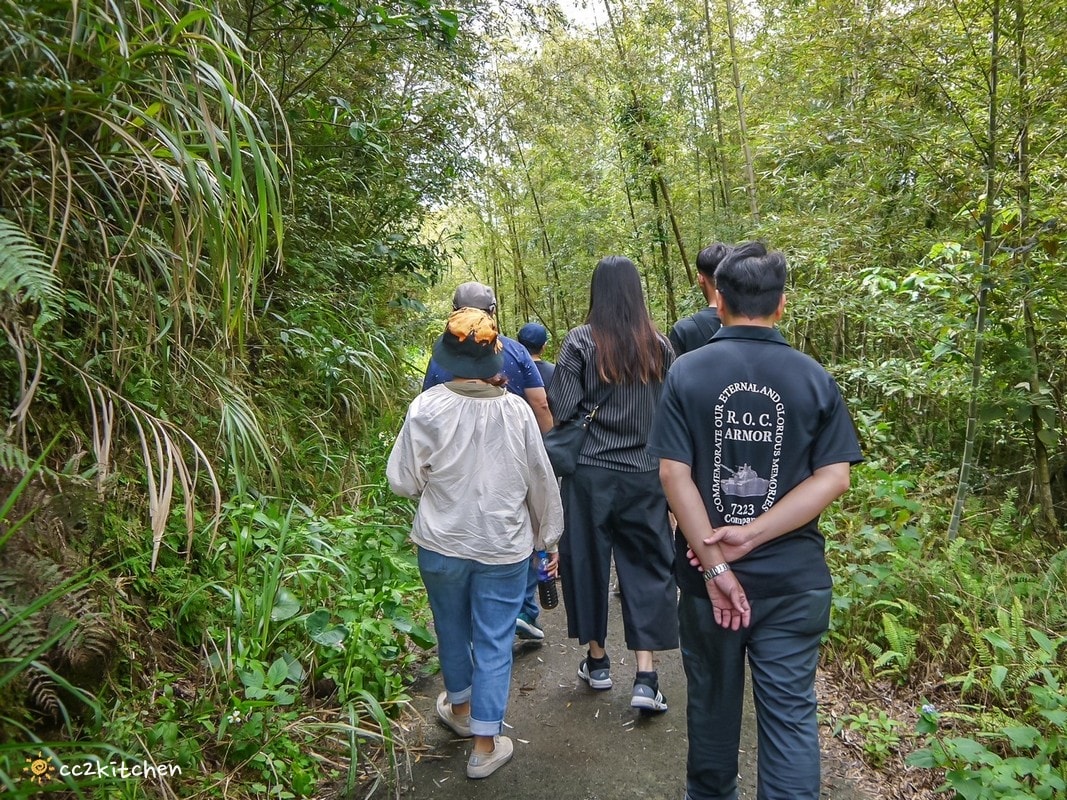 【2025台東太麻里金針山一日遊】金針山賞花秘境、森呼吸金針瑜珈、金針園採筍趣、水果茶凍DIY、大啖金針私房創意料理 ! - 第19張圖