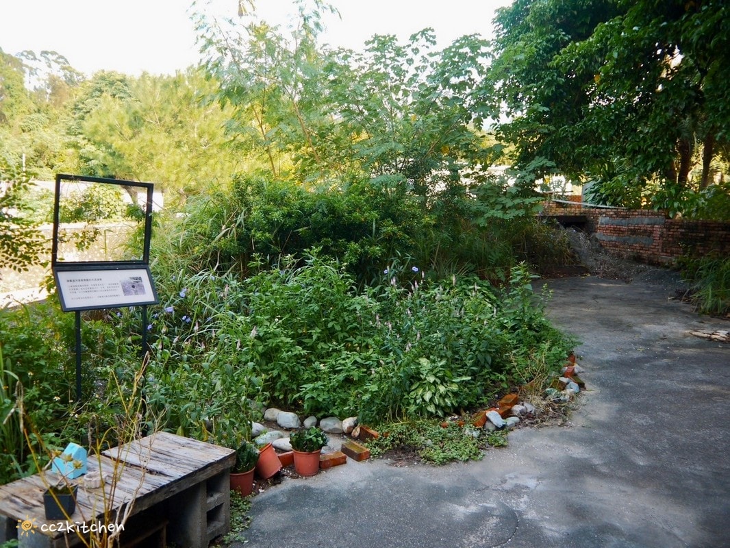 台東池上咖啡「小安比樂」feat.卡琺之谷，隱藏在稻香中的鄉村風咖啡廳！點一份仙草麵做的麻香拌麵、手工鄉村鹹派～在一片綠意中感受老宅漫時光。