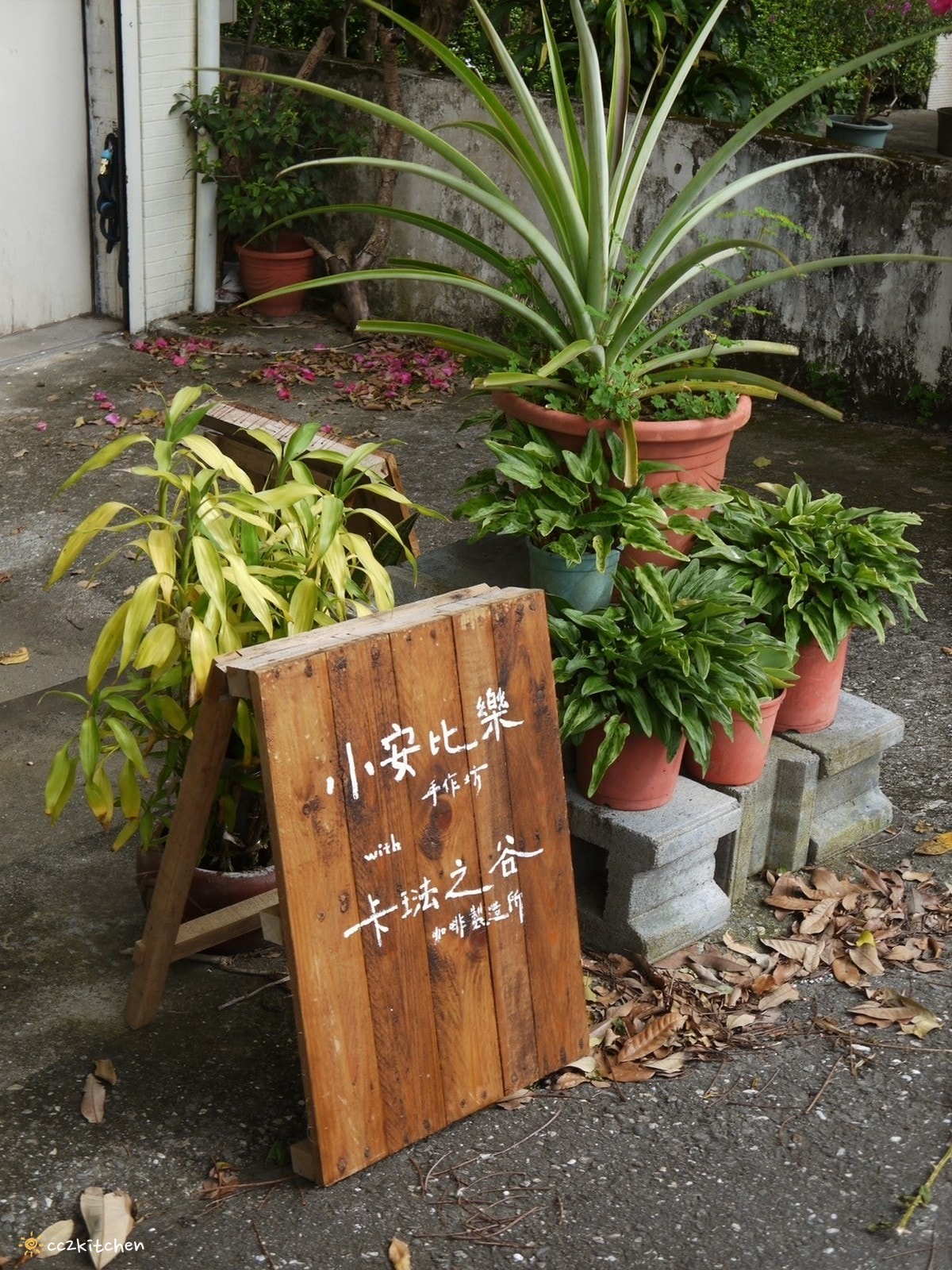 台東池上咖啡「小安比樂」feat.卡琺之谷，隱藏在稻香中的鄉村風咖啡廳！點一份仙草麵做的麻香拌麵、手工鄉村鹹派～在一片綠意中感受老宅漫時光。