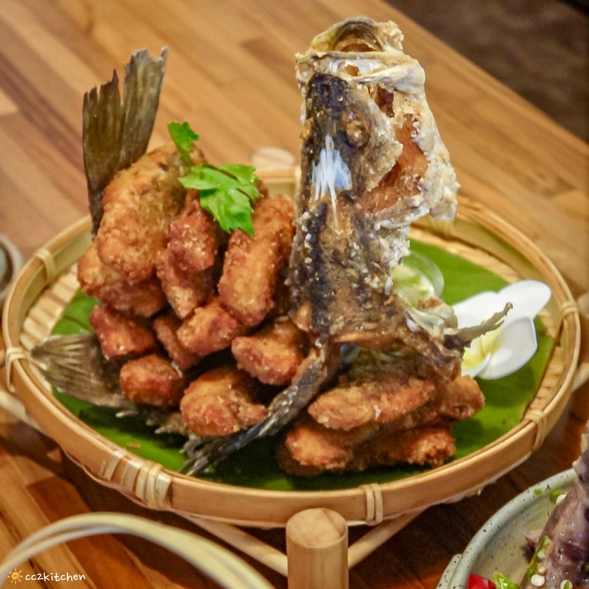 花蓮森林系網美餐廳「山下陳涼Enjoy the cool」，主打東南亞特色料理，鄰近山度空間、遠雄海洋公園。