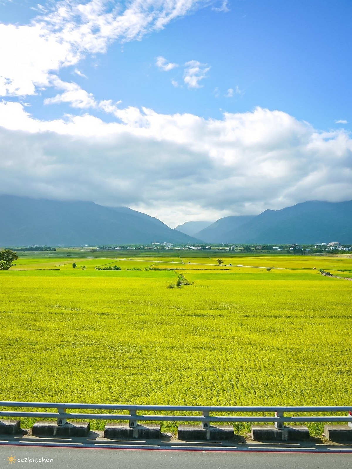 池上最新景觀咖啡「春田喜樂Spring Field Joy」伯朗大道旁一間可以欣賞黃金稻浪的咖啡廳~在解憂咖啡店裡喝咖啡配美景,感受宛如天堂般夢幻的稻海! - 第25張圖