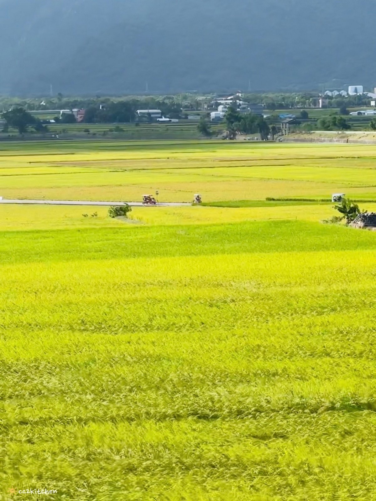 池上最新景觀咖啡「春田喜樂Spring Field Joy」伯朗大道旁一間可以欣賞黃金稻浪的咖啡廳~在解憂咖啡店裡喝咖啡配美景,感受宛如天堂般夢幻的稻海! - 第26張圖