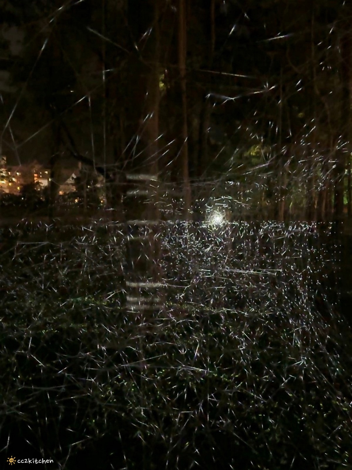 【2026台東知本一日遊】知本溫泉、知本美食景點全攻略！不能錯過的溫泉美食、知本隱藏版景點、最新光祭活動。