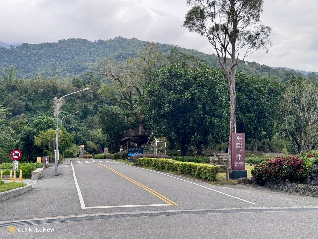 【2026台東知本一日遊】知本溫泉、知本美食景點全攻略！不能錯過的溫泉美食、知本隱藏版景點、最新光祭活動。