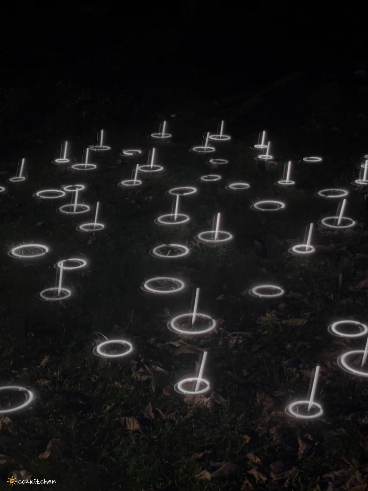 【2026台東知本一日遊】知本溫泉、知本美食景點全攻略！不能錯過的溫泉美食、知本隱藏版景點、最新光祭活動。