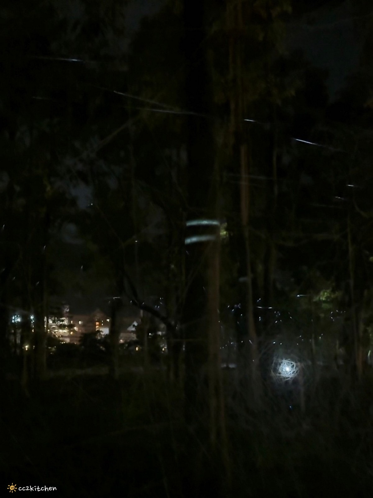 【2026台東知本一日遊】知本溫泉、知本美食景點全攻略！不能錯過的溫泉美食、知本隱藏版景點、最新光祭活動。