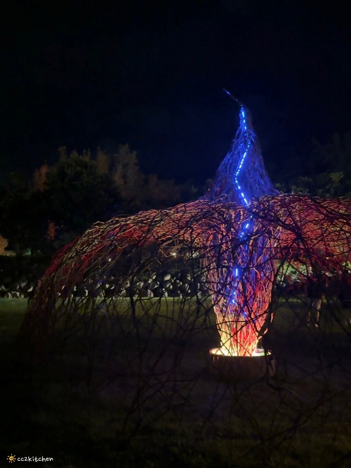 【2026台東知本一日遊】知本溫泉、知本美食景點全攻略！不能錯過的溫泉美食、知本隱藏版景點、最新光祭活動。