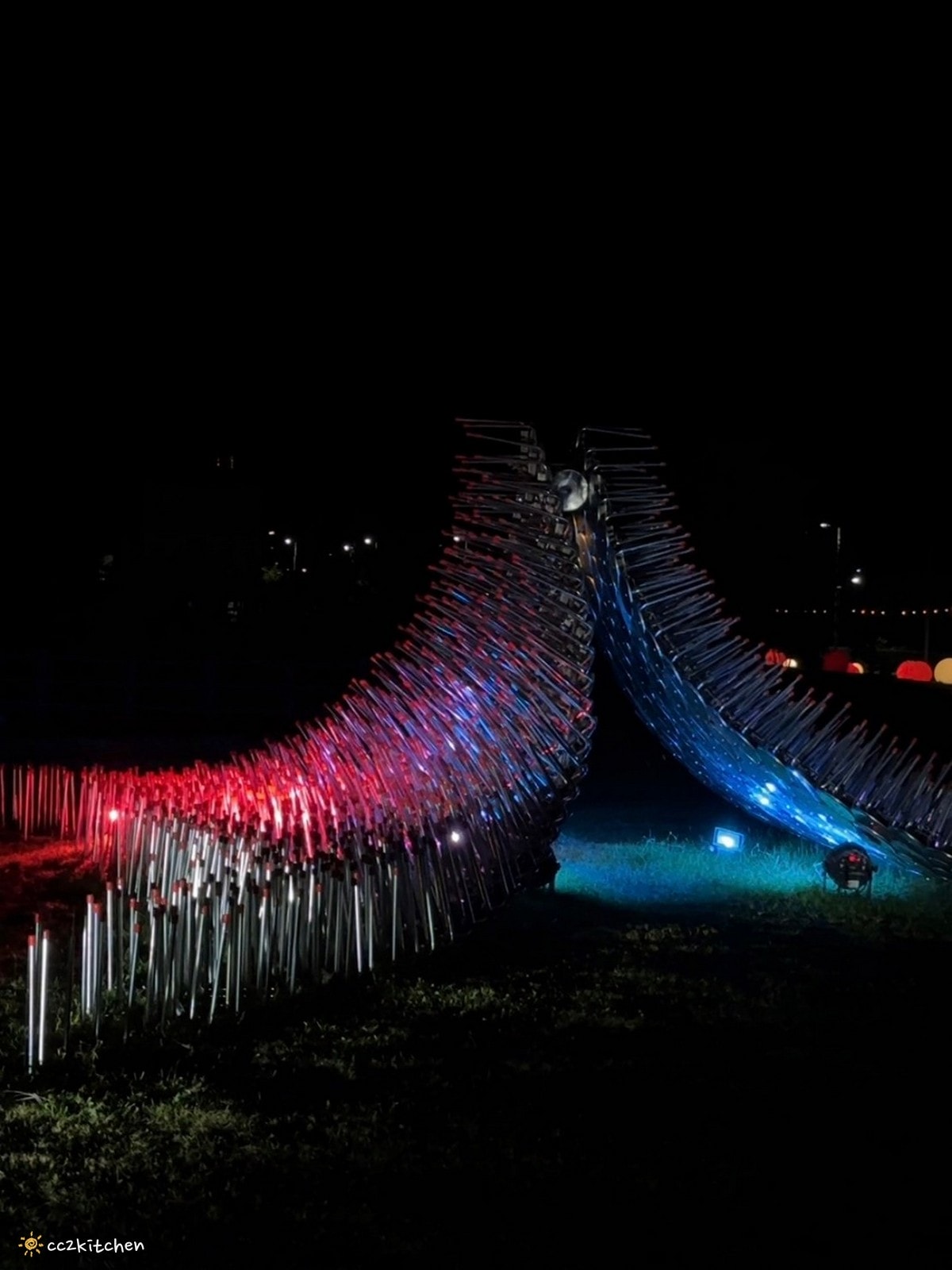 【2026台東知本一日遊】知本溫泉、知本美食景點全攻略！不能錯過的溫泉美食、知本隱藏版景點、最新光祭活動。