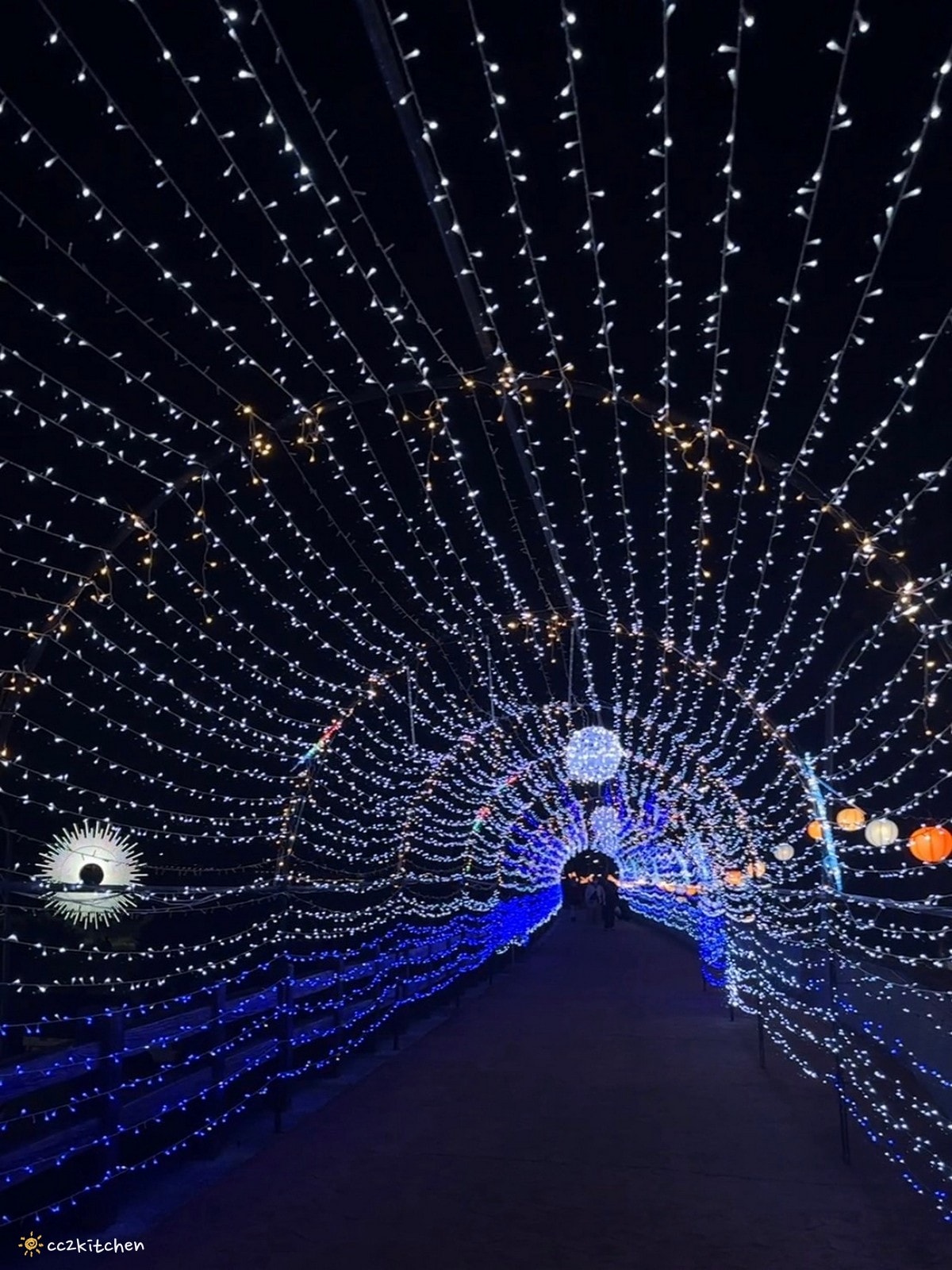 【2026台東知本一日遊】知本溫泉、知本美食景點全攻略！不能錯過的溫泉美食、知本隱藏版景點、最新光祭活動。