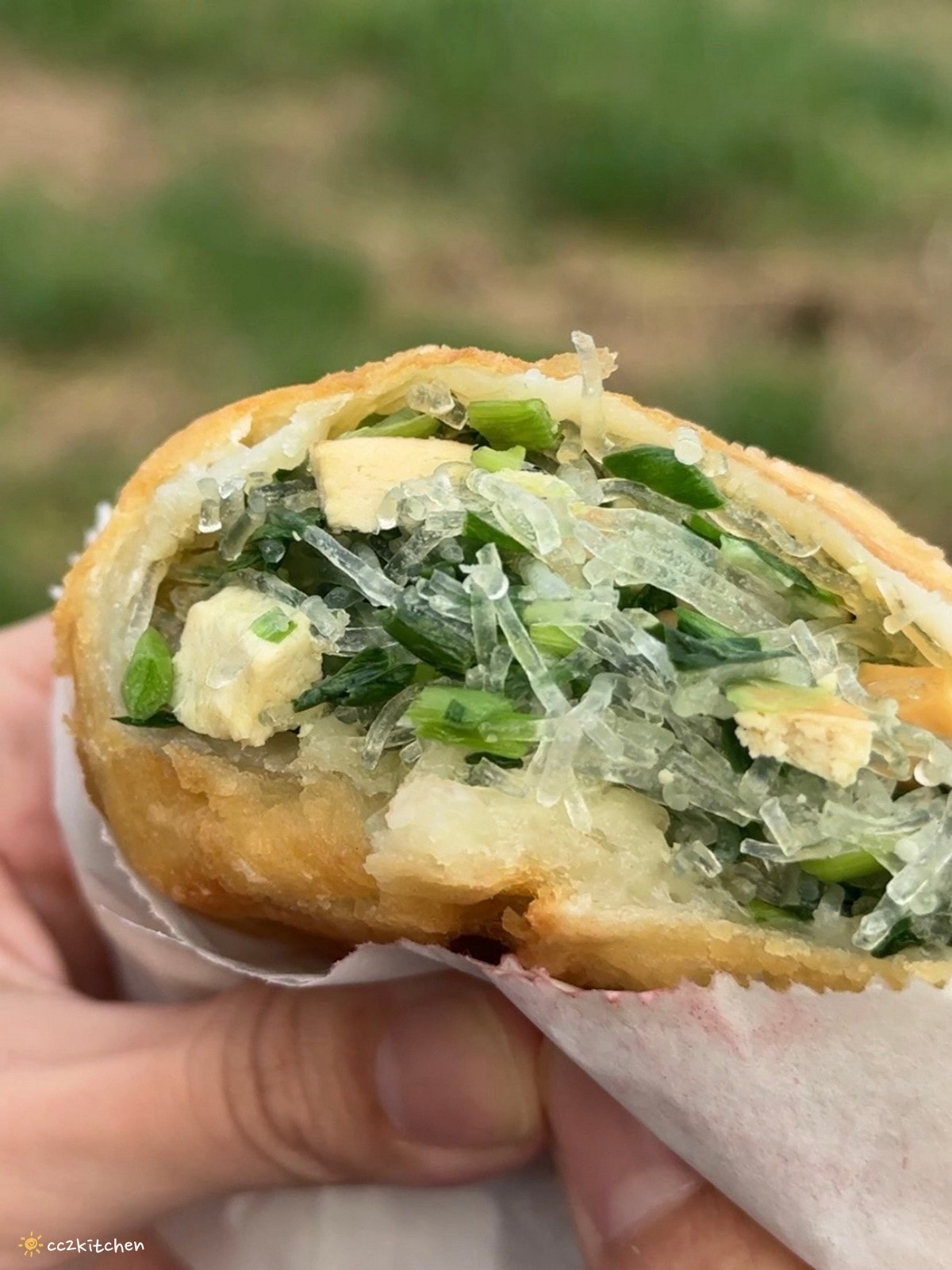 【2026台東知本一日遊】知本溫泉、知本美食景點全攻略！不能錯過的溫泉美食、知本隱藏版景點、最新光祭活動。