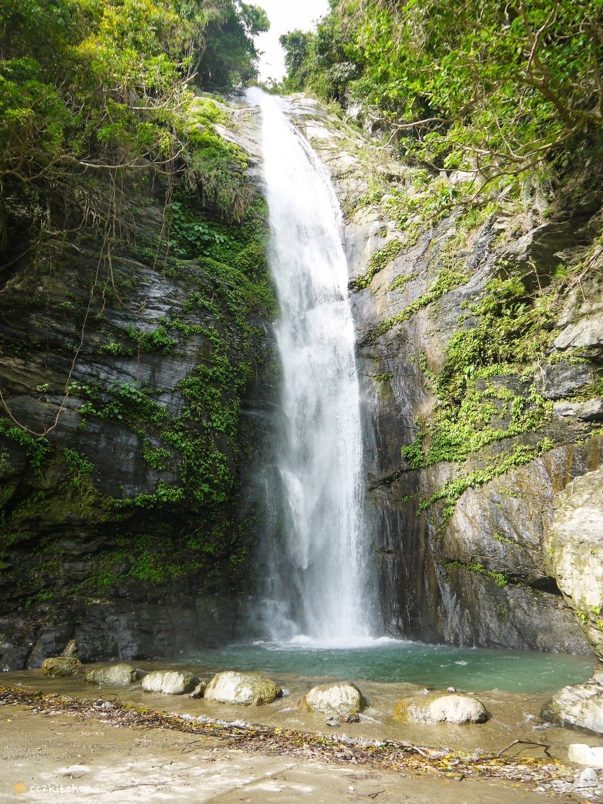 【2026台東知本一日遊】知本溫泉、知本美食景點全攻略！不能錯過的溫泉美食、知本隱藏版景點、最新光祭活動。