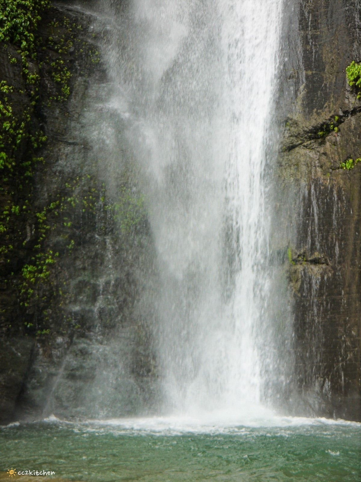 【2026台東知本一日遊】知本溫泉、知本美食景點全攻略！不能錯過的溫泉美食、知本隱藏版景點、最新光祭活動。