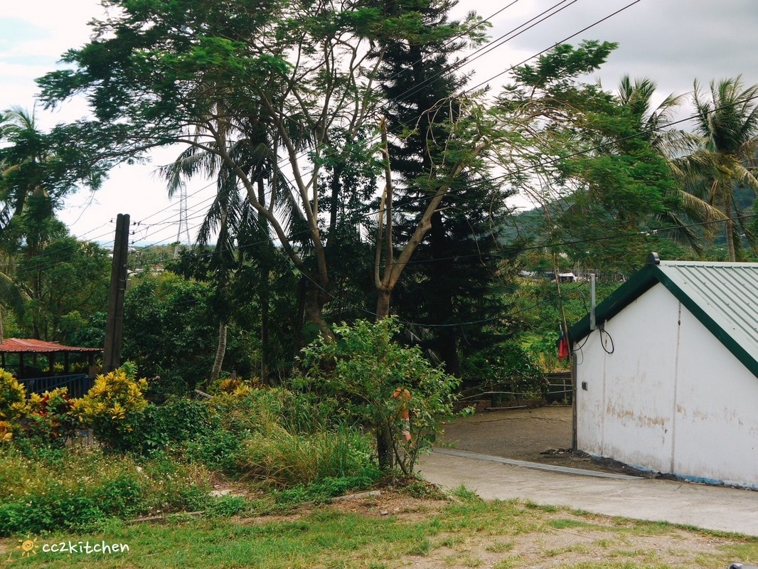 台東利嘉「稻米與月桃花」，隱居山林的私宅咖啡廳！一周只營業三天、假日不定期開放，招牌香料咖哩與小農自耕無毒香米結合，隱藏在靜謐山中的美味。