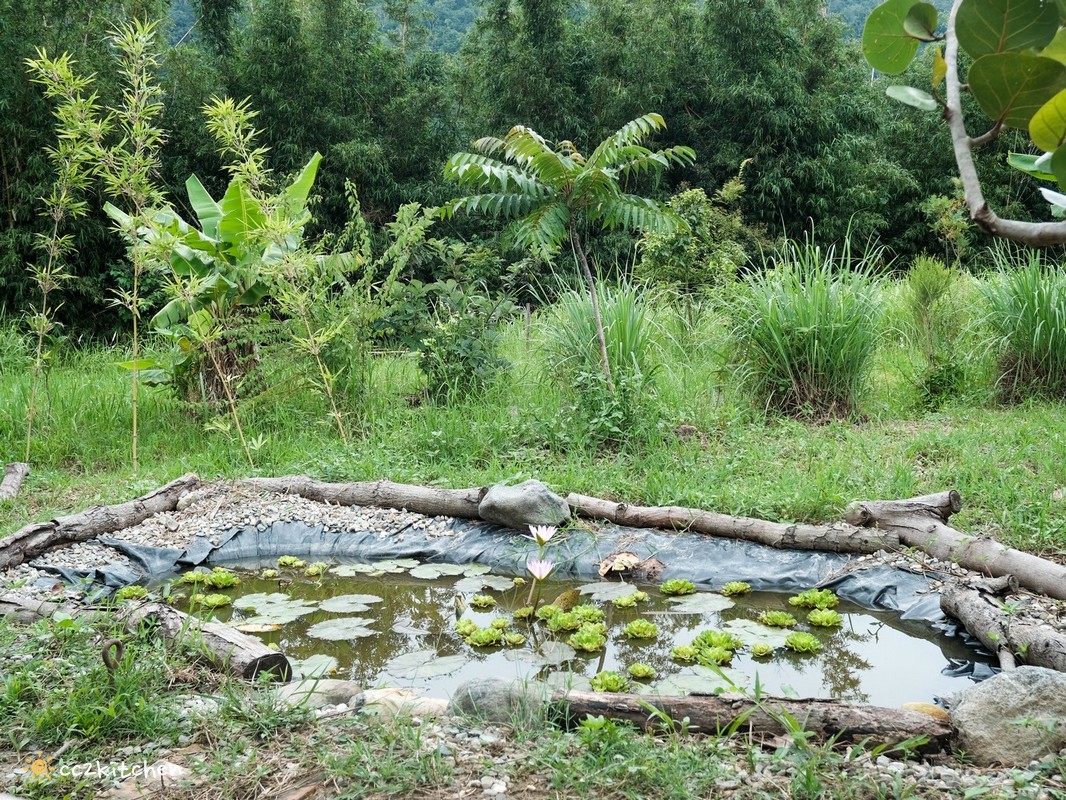 台東隱藏版手打烏龍麵「小虞手打烏龍麵」竟然藏身在山谷秘境中?手打烏龍麵Q彈帶勁~採預約制,僅有8席座位,位於泰源幽谷、泰源半島~儘管須長途跋涉才能抵達,仍吸引許多饕客慕名前往! - 第18張圖