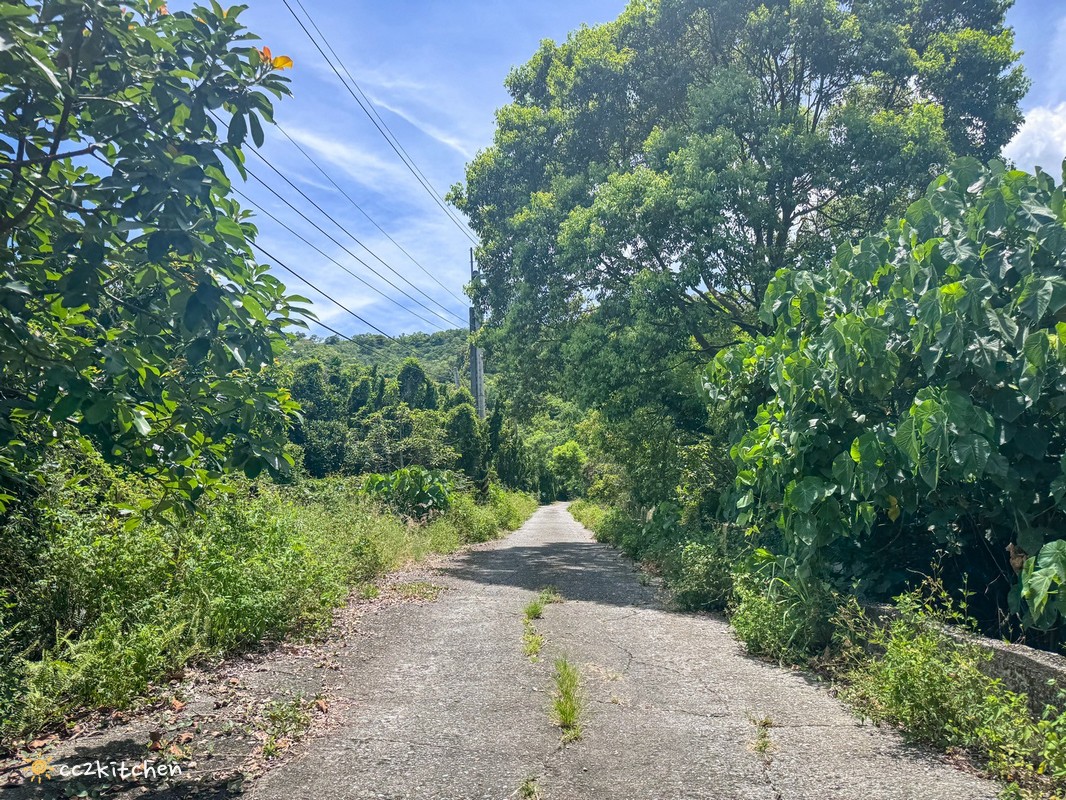 台東「山歌·Mountain Vibe」知本山上的秘境早午餐咖啡廳,遠離塵囂、坐擁山海景,眺望太平洋與綠島的世外桃源小店! - 第8張圖