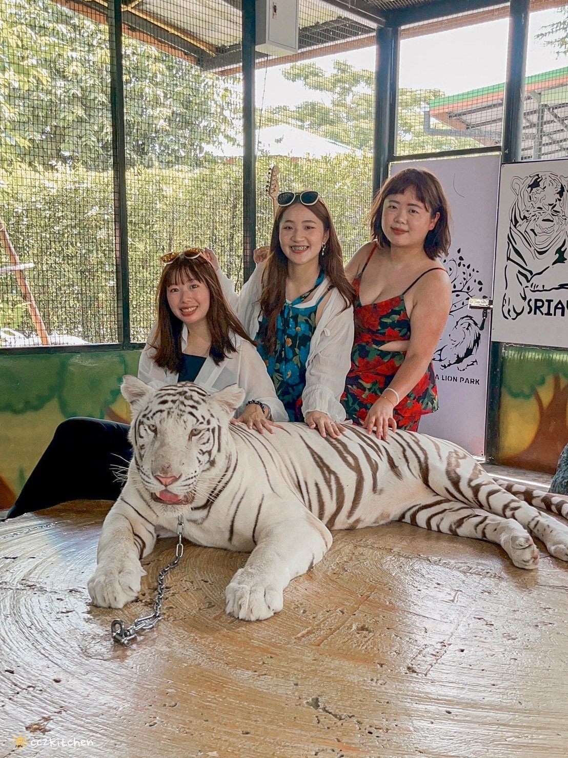 【2025泰國自由行】超狂!大城動物園「長頸鹿吉普車」體驗:餵食+拍照一次滿足,IG 打卡超吸睛!來泰國沒去會後悔的景點~ - 第21張圖