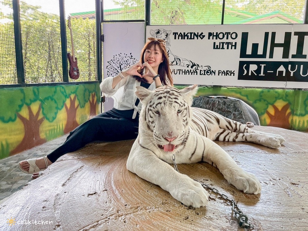 【2025泰國自由行】超狂!大城動物園「長頸鹿吉普車」體驗:餵食+拍照一次滿足,IG 打卡超吸睛!來泰國沒去會後悔的景點~ - 第22張圖