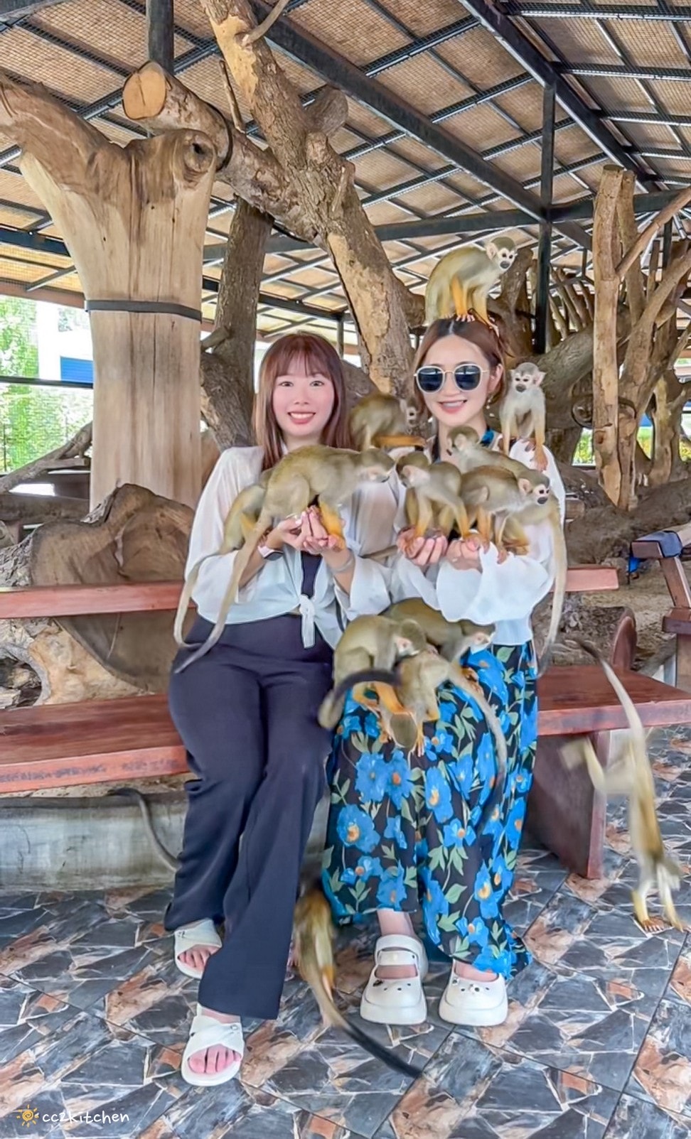 【2025泰國自由行】超狂!大城動物園「長頸鹿吉普車」體驗:餵食+拍照一次滿足,IG 打卡超吸睛!來泰國沒去會後悔的景點~ - 第25張圖