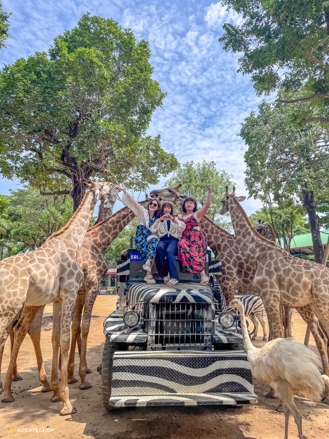 【2025泰國自由行】超狂!大城動物園「長頸鹿吉普車」體驗:餵食+拍照一次滿足,IG 打卡超吸睛!來泰國沒去會後悔的景點~ - 第20張圖