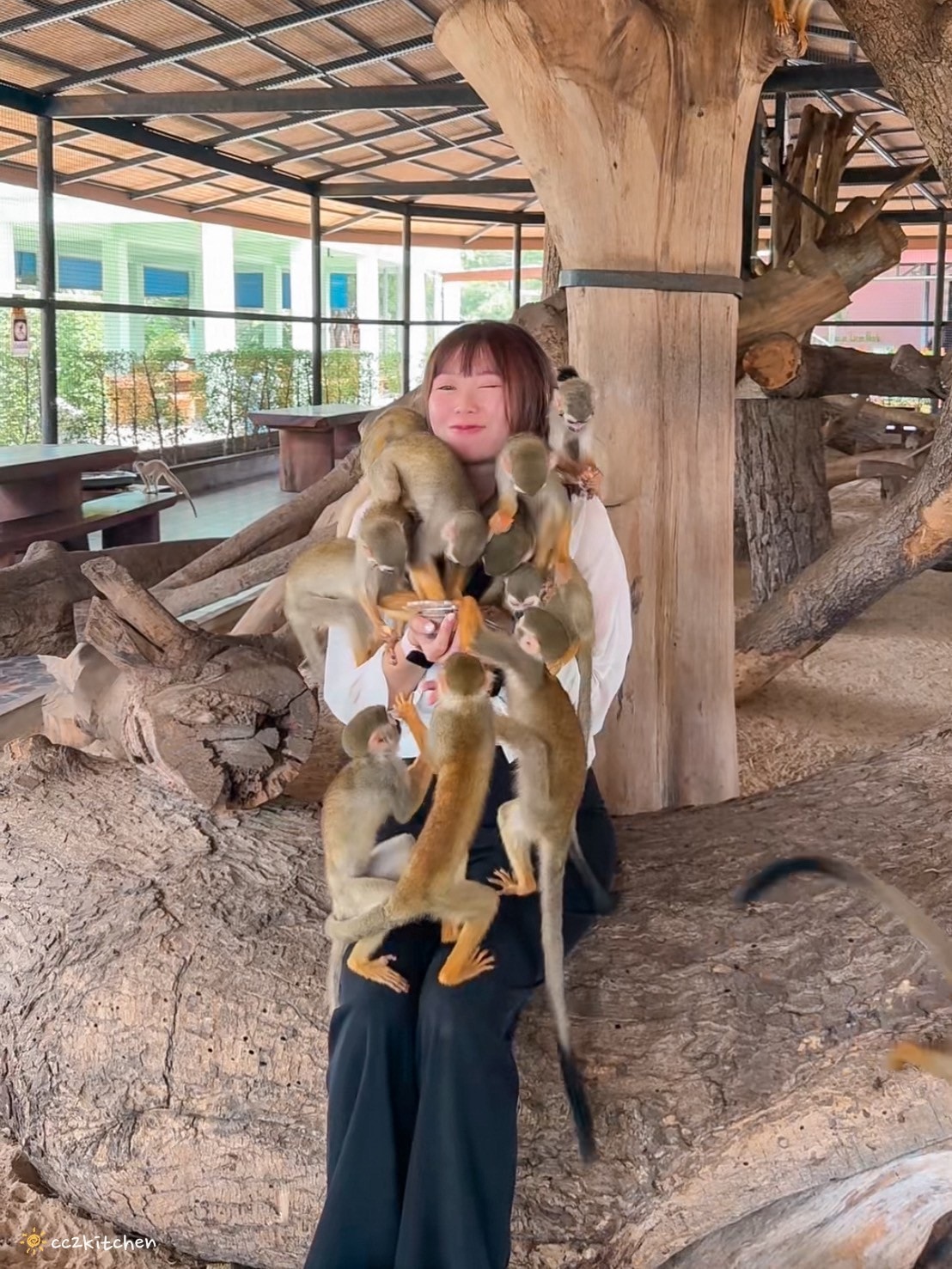 【2025泰國自由行】超狂!大城動物園「長頸鹿吉普車」體驗:餵食+拍照一次滿足,IG 打卡超吸睛!來泰國沒去會後悔的景點~ - 第28張圖