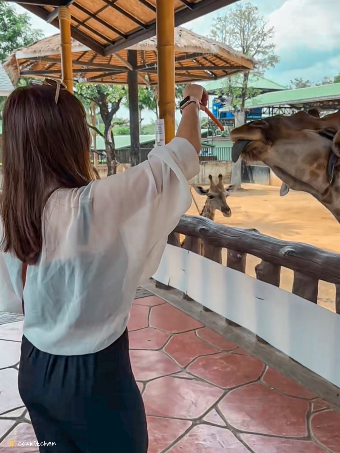 【2025泰國自由行】超狂!大城動物園「長頸鹿吉普車」體驗:餵食+拍照一次滿足,IG 打卡超吸睛!來泰國沒去會後悔的景點~ - 第13張圖