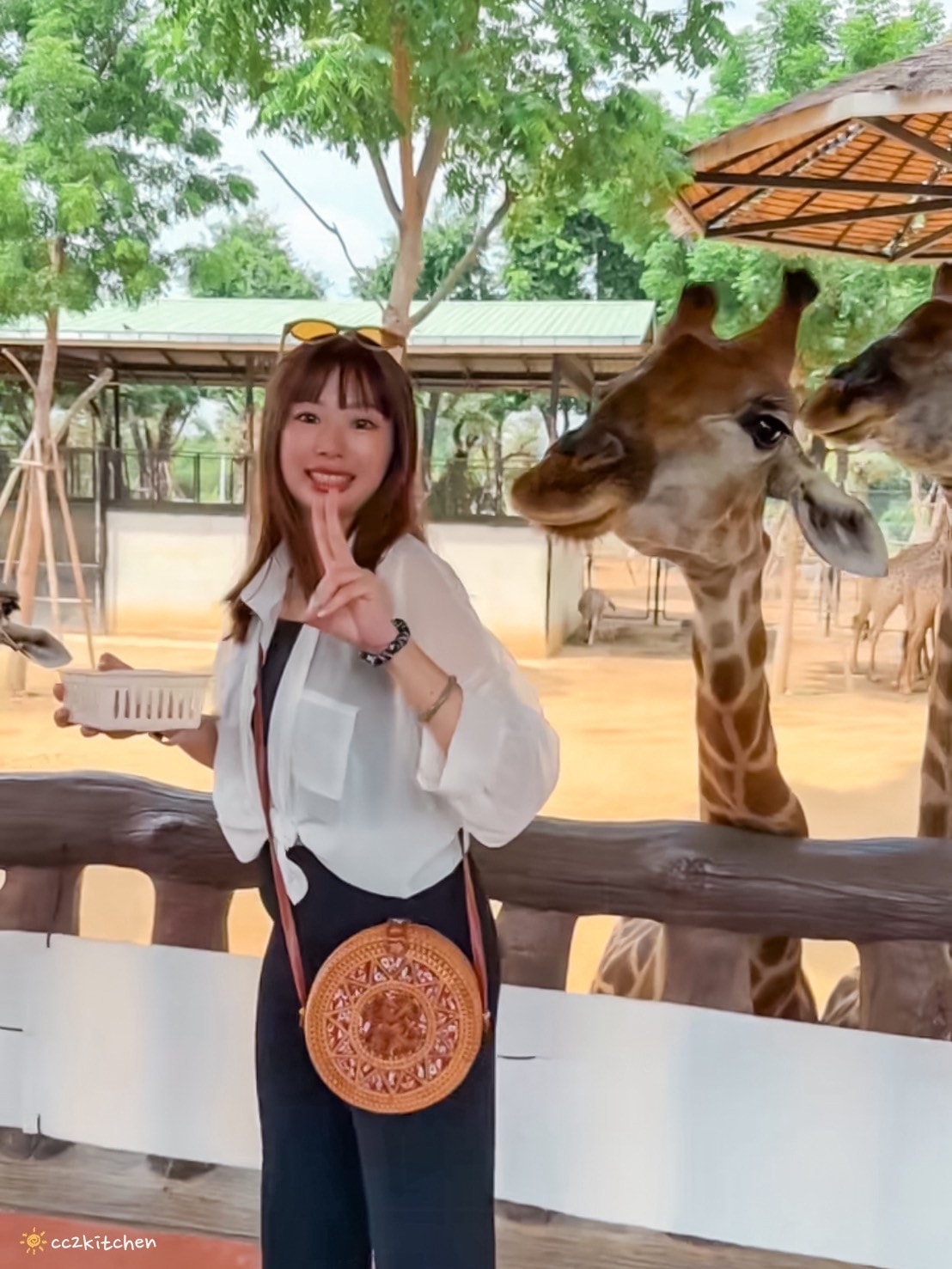 【2025泰國自由行】超狂!大城動物園「長頸鹿吉普車」體驗:餵食+拍照一次滿足,IG 打卡超吸睛!來泰國沒去會後悔的景點~ - 第14張圖