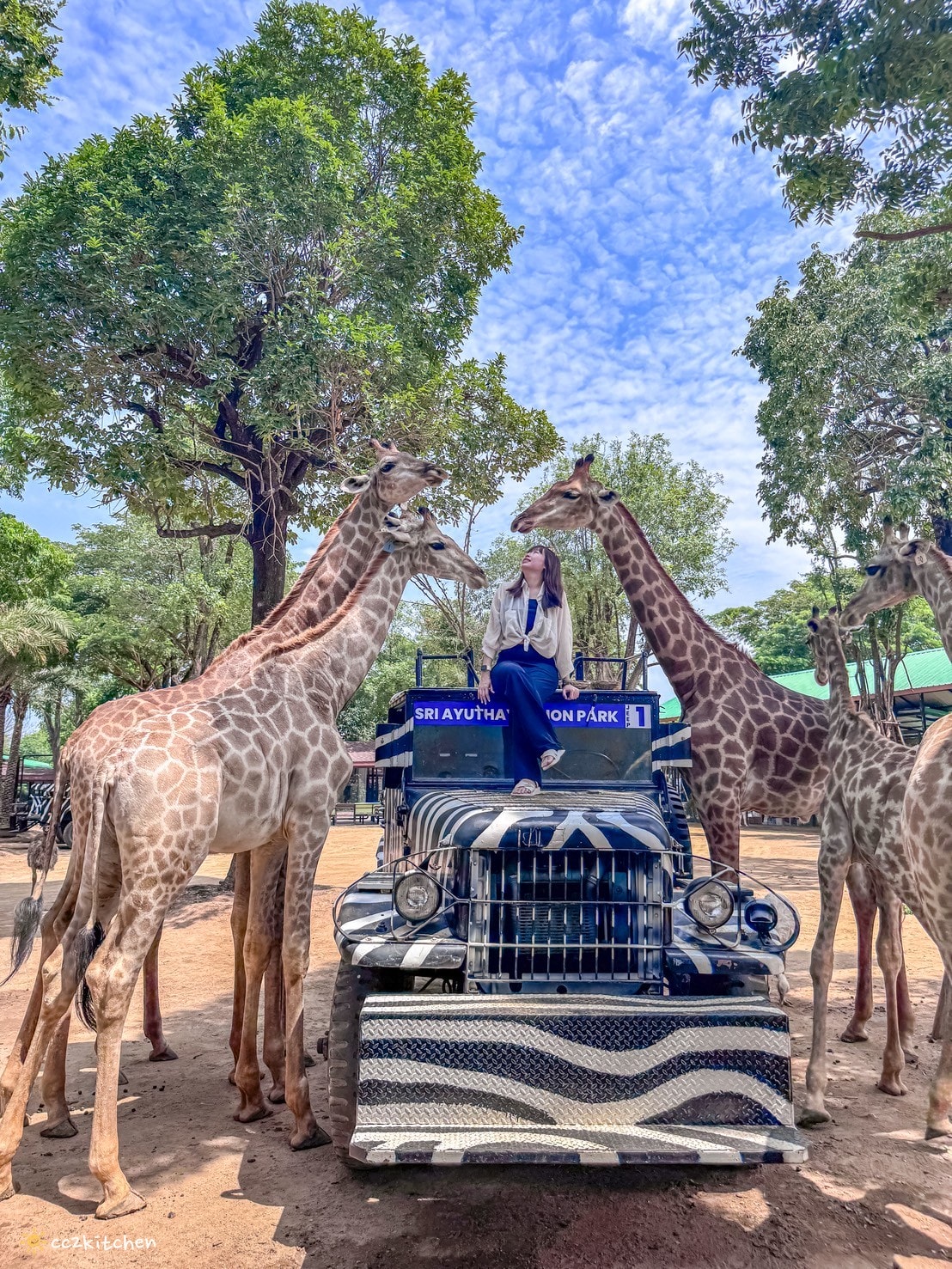 【2025泰國自由行】超狂!大城動物園「長頸鹿吉普車」體驗:餵食+拍照一次滿足,IG 打卡超吸睛!來泰國沒去會後悔的景點~ - 第18張圖