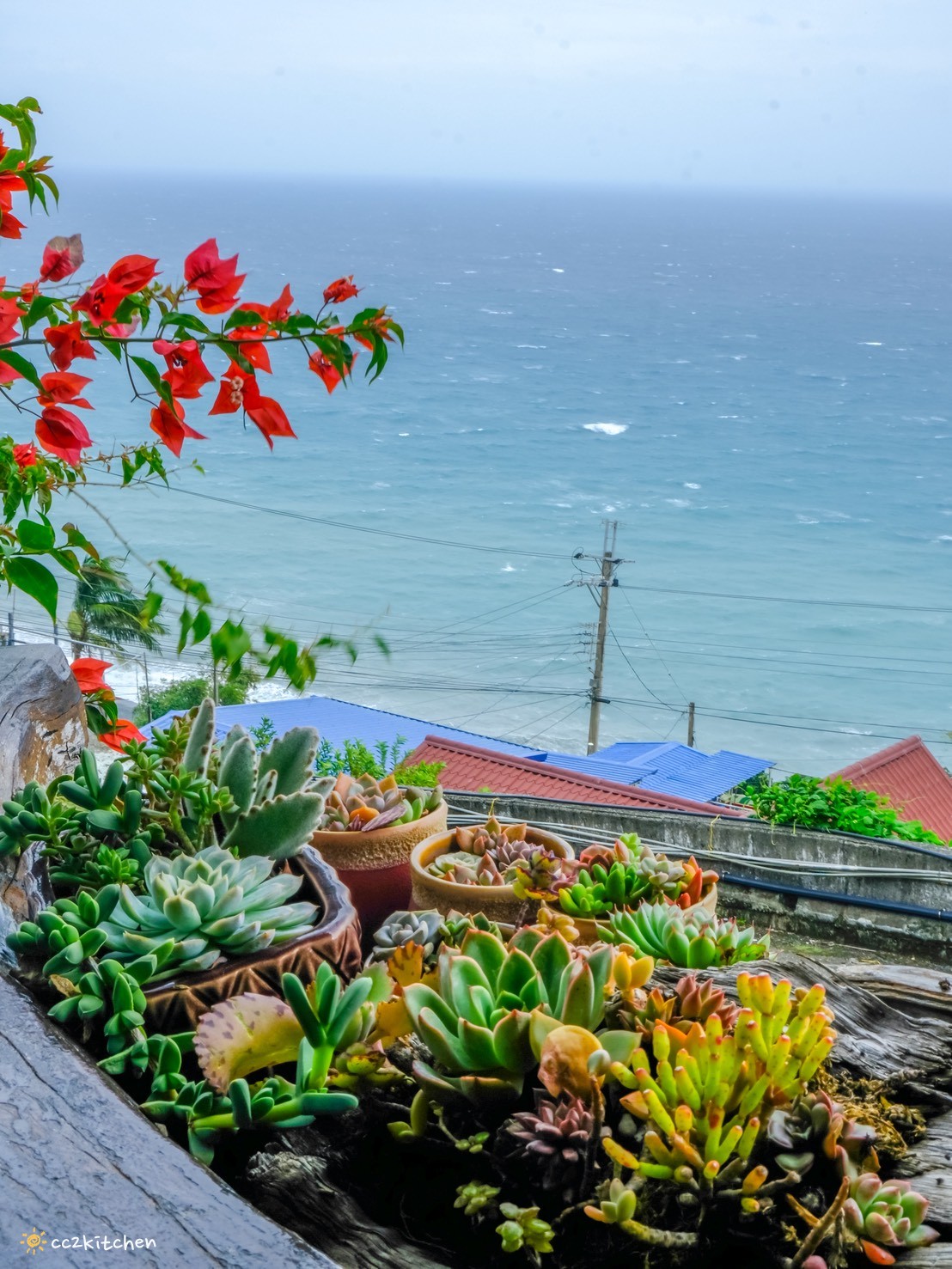 台東多良秘境咖啡推薦!「5181聽海文創&咖啡」近多良火車站~坐擁無敵太平洋海景,看海喝咖啡的好去處、太麻里放空拍照必訪,沉浸式感受多良海景的療癒。 - 第13張圖 台東多良秘境咖啡推薦!「5181聽海文創&咖啡」近多良火車站~坐擁無敵太平洋海景,看海喝咖啡的好去處、太麻里放空拍照必訪,沉浸式感受多良海景的療癒。