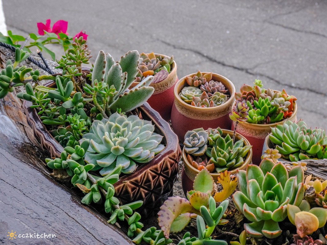 台東多良秘境咖啡推薦!「5181聽海文創&咖啡」近多良火車站~坐擁無敵太平洋海景,看海喝咖啡的好去處、太麻里放空拍照必訪,沉浸式感受多良海景的療癒。 - 第11張圖 台東多良秘境咖啡推薦!「5181聽海文創&咖啡」近多良火車站~坐擁無敵太平洋海景,看海喝咖啡的好去處、太麻里放空拍照必訪,沉浸式感受多良海景的療癒。