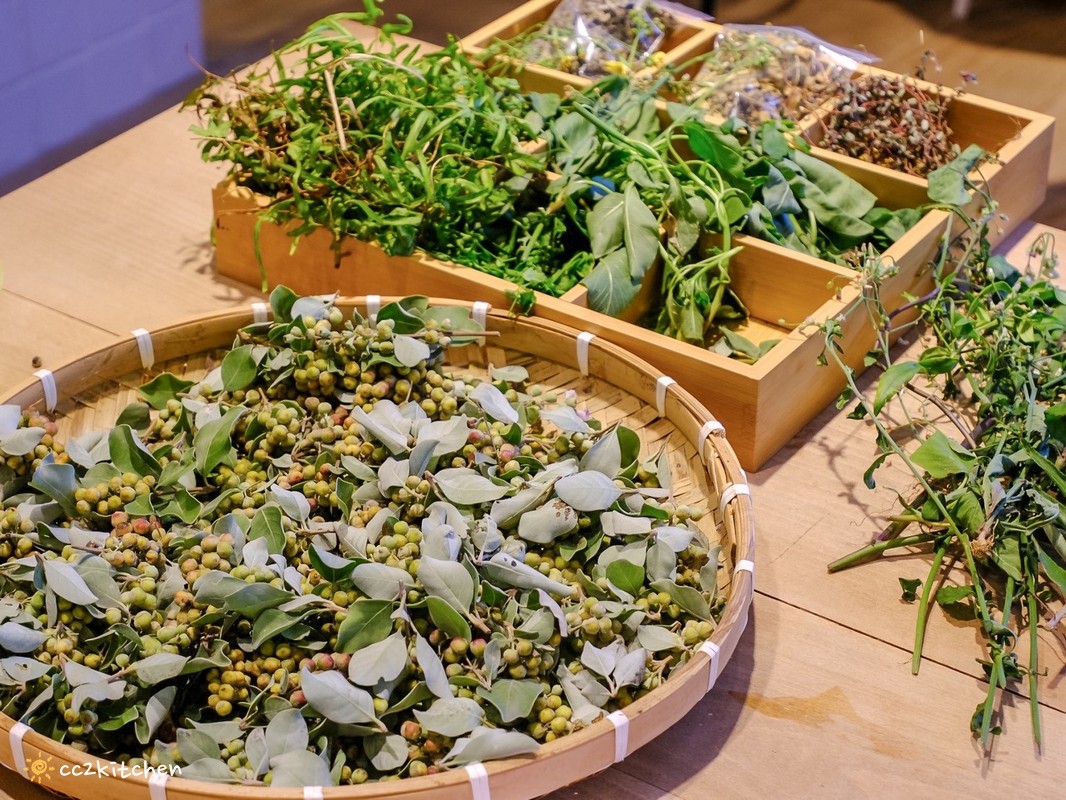 台東深度旅遊推薦!跟著「日日南島」解鎖南島文化的神祕體驗:樹皮花手作、海浦姜萬用膏DIY、支架大洋舟,結合台東城市博覽會,玩出最道地的原民風情、感受南島文化魅力! - 第104張圖