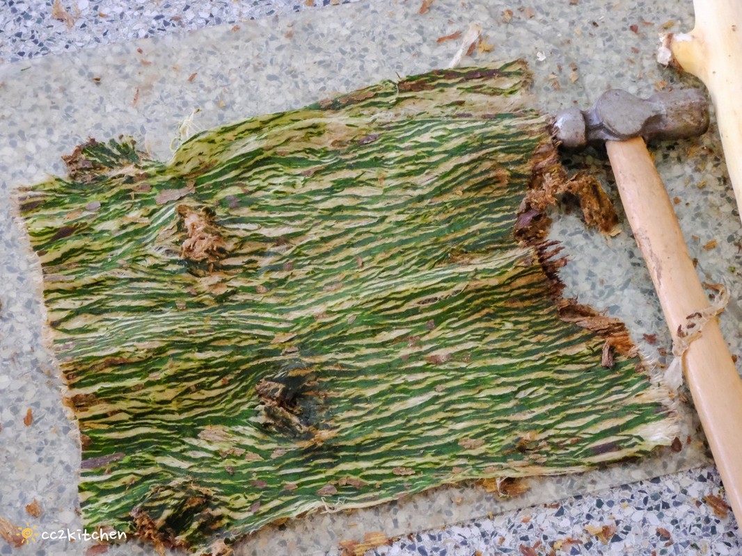 台東深度旅遊推薦!跟著「日日南島」解鎖南島文化的神祕體驗:樹皮花手作、海浦姜萬用膏DIY、支架大洋舟,結合台東城市博覽會,玩出最道地的原民風情、感受南島文化魅力! - 第36張圖