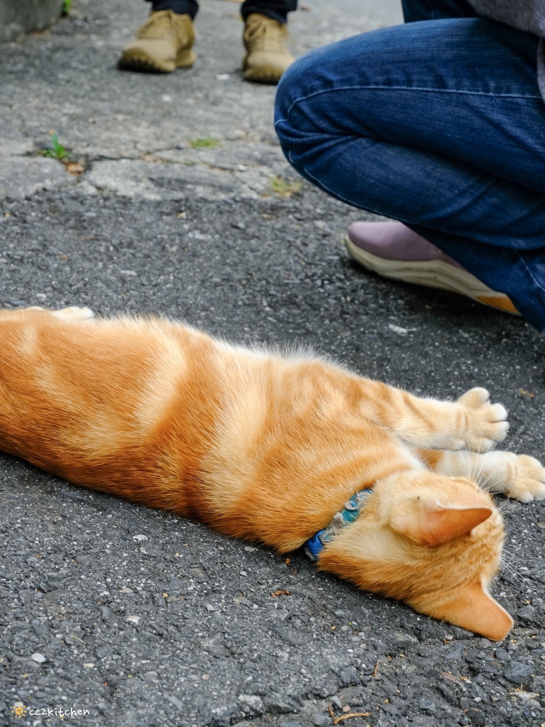 台東深度旅遊推薦!跟著「日日南島」解鎖南島文化的神祕體驗:樹皮花手作、海浦姜萬用膏DIY、支架大洋舟,結合台東城市博覽會,玩出最道地的原民風情、感受南島文化魅力! - 第90張圖