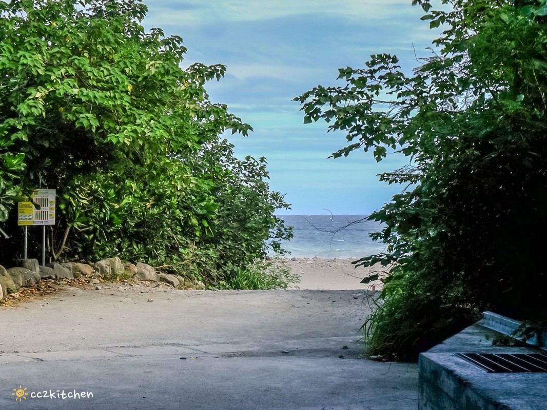 台東深度旅遊推薦!跟著「日日南島」解鎖南島文化的神祕體驗:樹皮花手作、海浦姜萬用膏DIY、支架大洋舟,結合台東城市博覽會,玩出最道地的原民風情、感受南島文化魅力! - 第119張圖