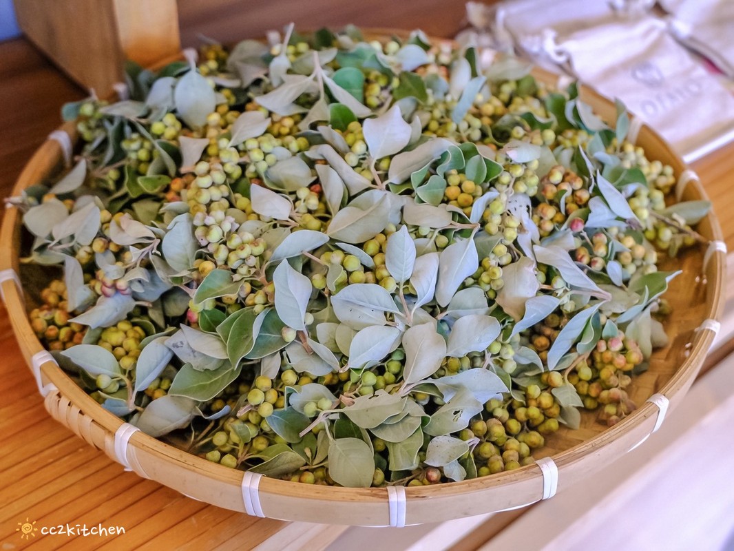 台東深度旅遊推薦!跟著「日日南島」解鎖南島文化的神祕體驗:樹皮花手作、海浦姜萬用膏DIY、支架大洋舟,結合台東城市博覽會,玩出最道地的原民風情、感受南島文化魅力! - 第103張圖