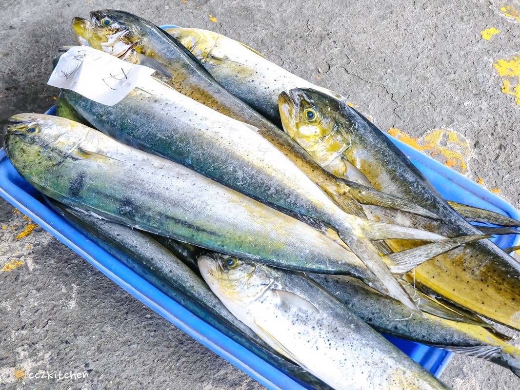 吃飯也可以是一場旅行！台東成功「成功毛利屋」，騎電輔車走入成功小鎮的食魚教育慢旅體驗，預約制私廚料理×漁港走讀，用五感認識台東成功的海味日常。