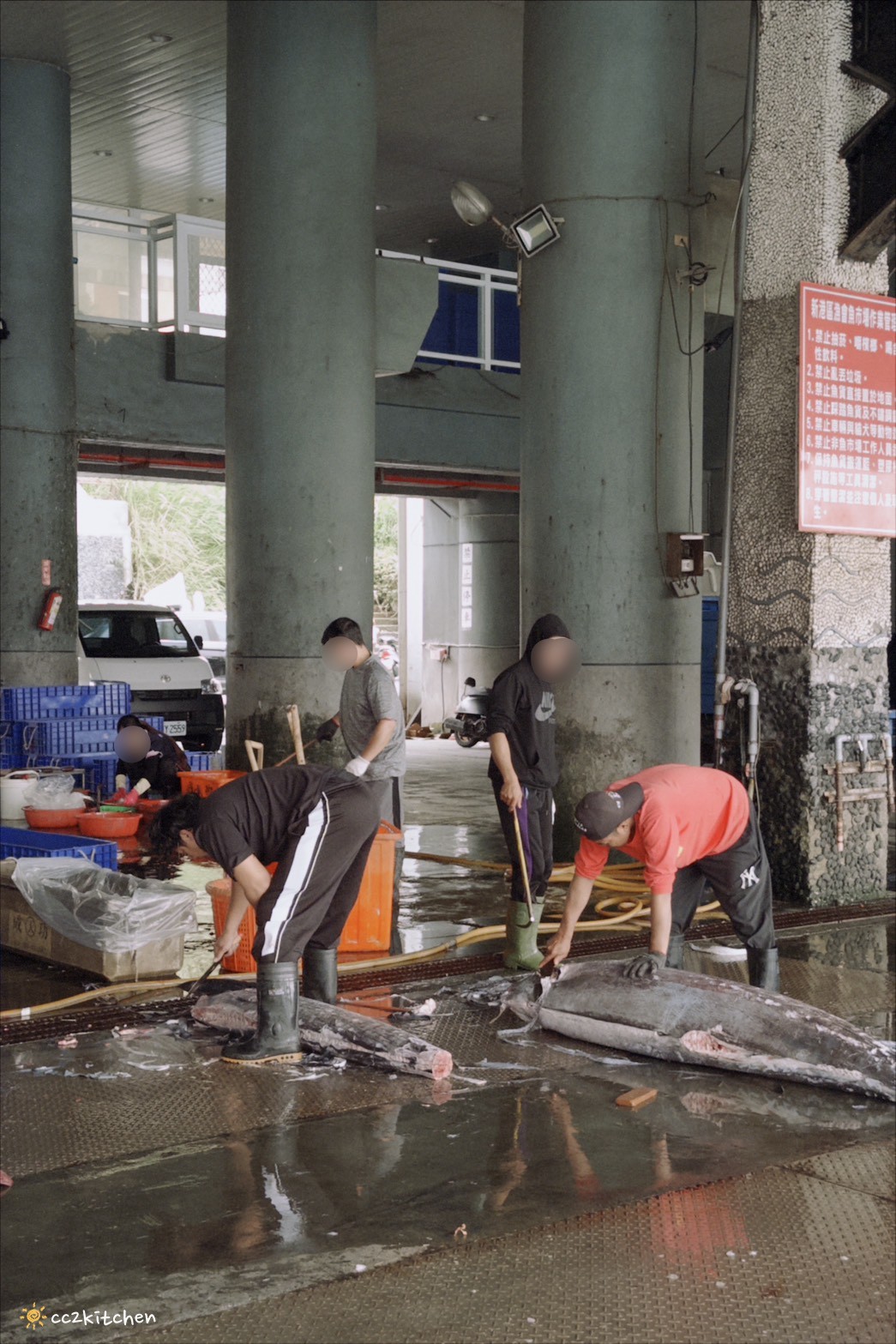 吃飯也可以是一場旅行！台東成功「成功毛利屋」，騎電輔車走入成功小鎮的食魚教育慢旅體驗，預約制私廚料理×漁港走讀，用五感認識台東成功的海味日常。